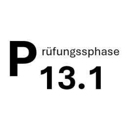 c13